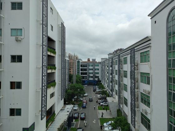 Main Cam - Realme GT Neo 3T -0610154356