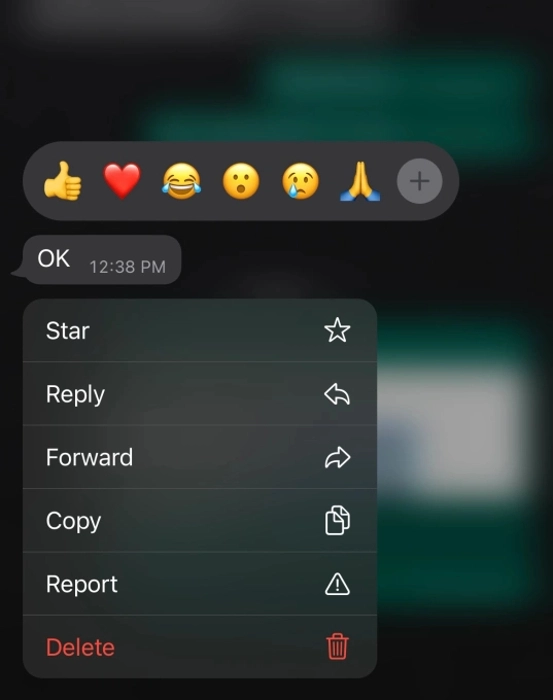 WhatsApp message reactions