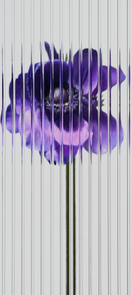 Nothing Phone (1) wallpaper