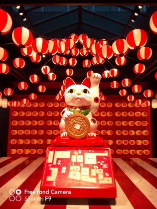 FreeYong Y9 camera sample