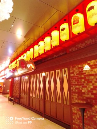 FreeYong Y9 camera sample