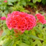 Doogee S61 Pro camera 9