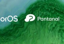 Oppo teases launch of “Pantanal”, Cross-Platform Smart Ecosystem for Oppo Devices