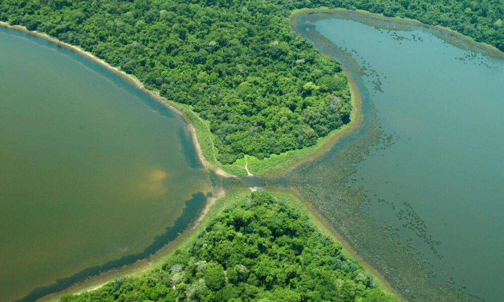 Pantanal