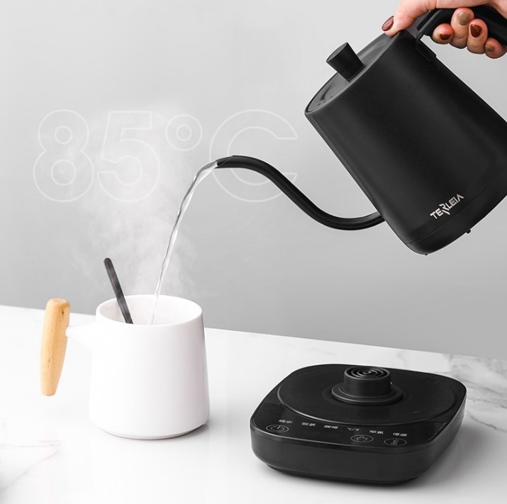 Terleia Electric Kettle with Swan neck spout