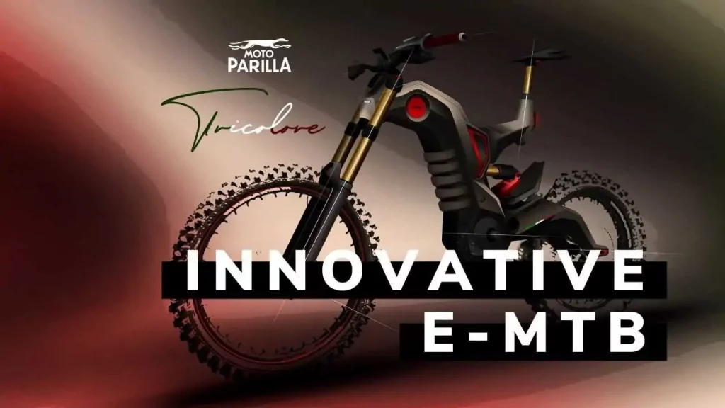 Motocicleta E-MTB Parrilla Tricolore