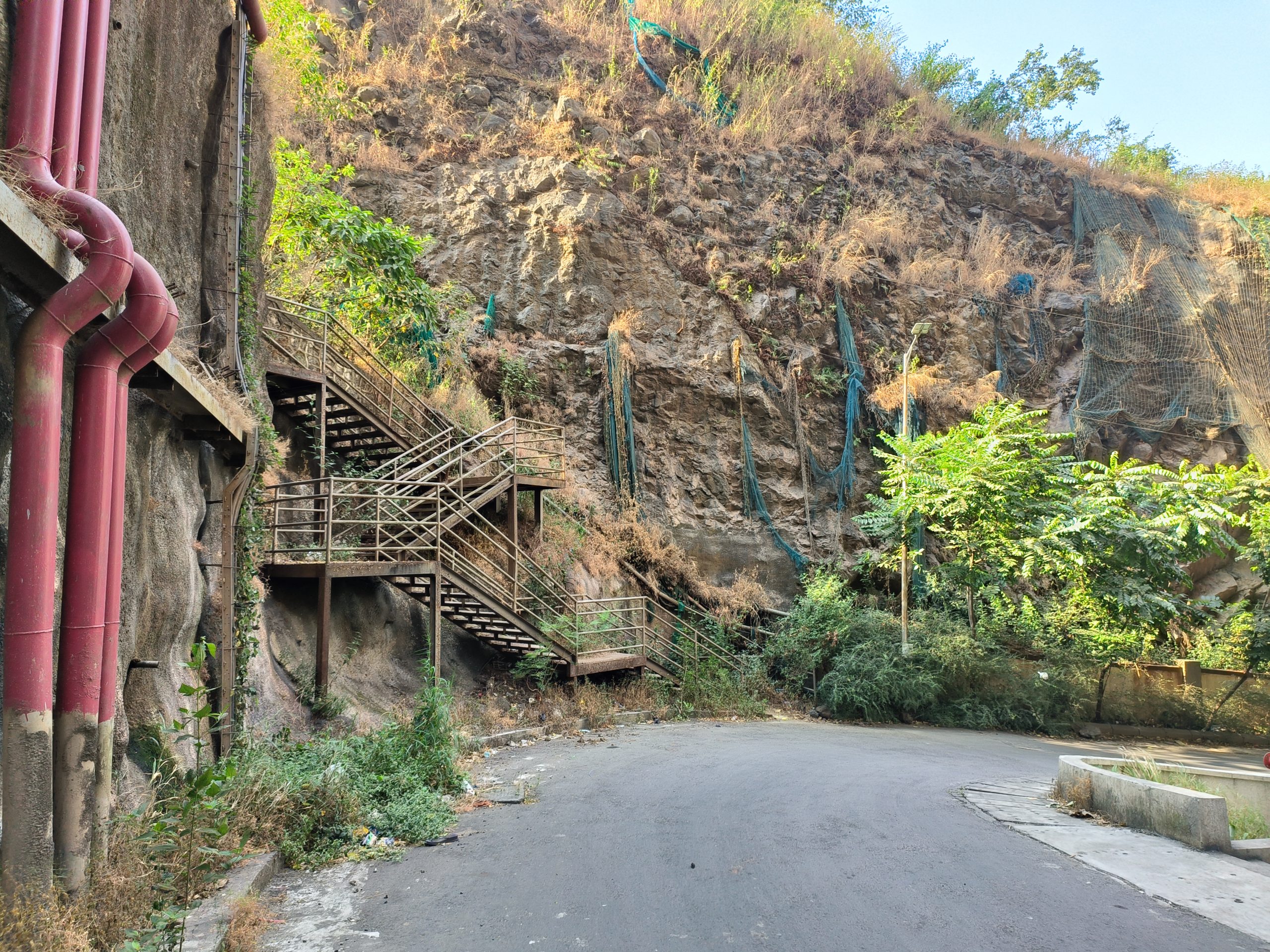 OPPO Reno 8 Pro daylight 3