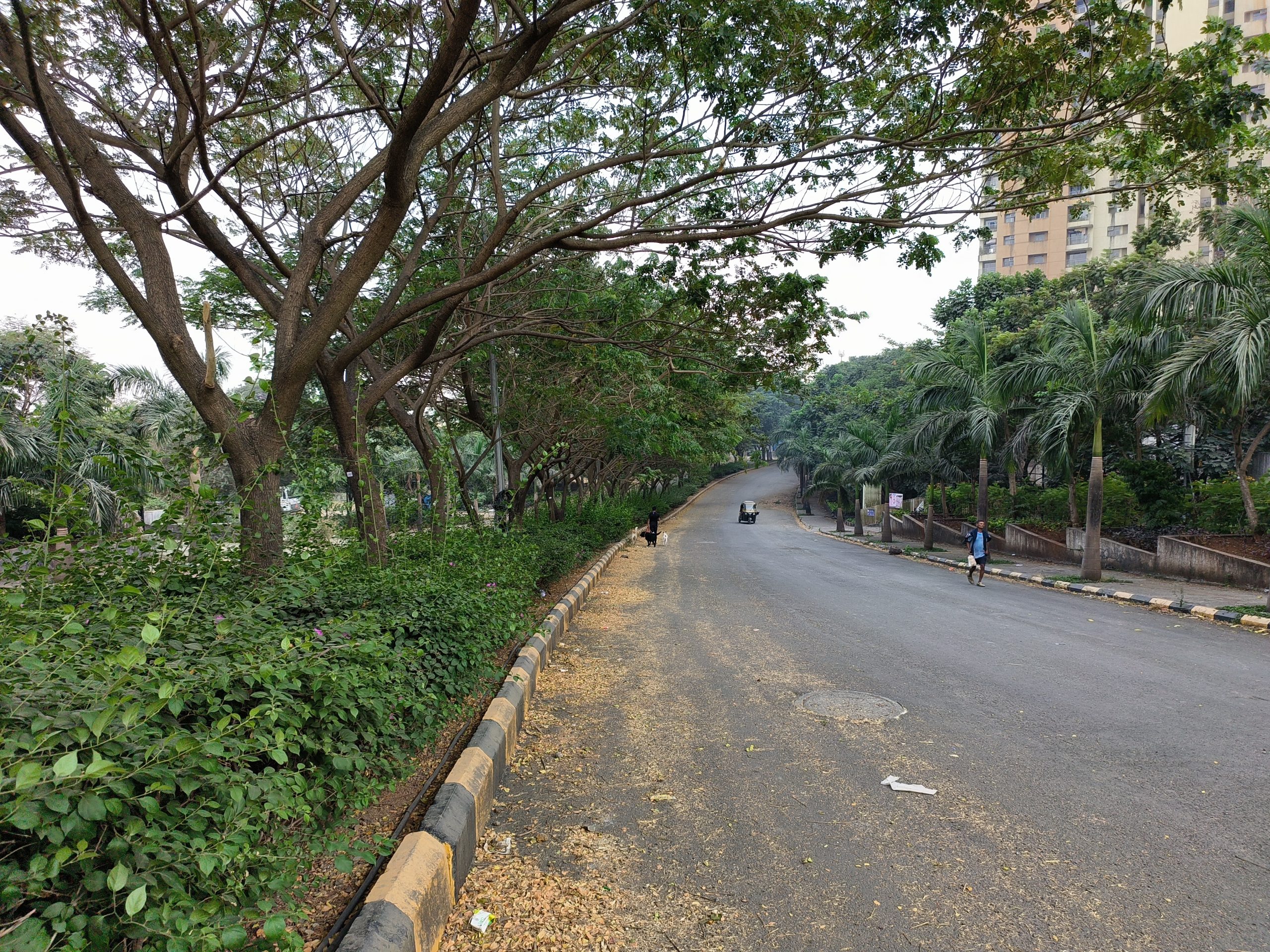 OPPO Reno 8 Pro daylight 4