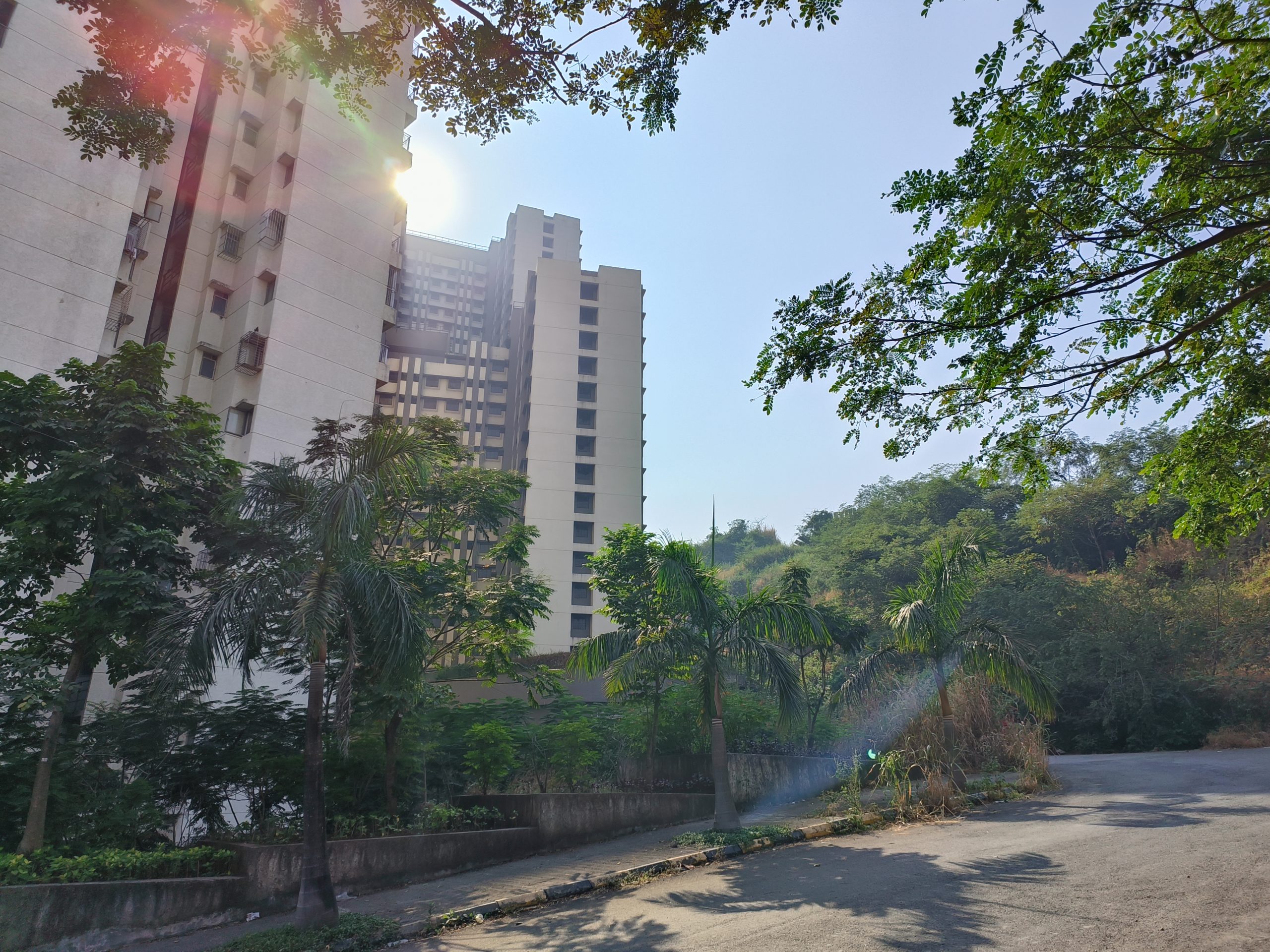 OPPO Reno 8 Pro daylight