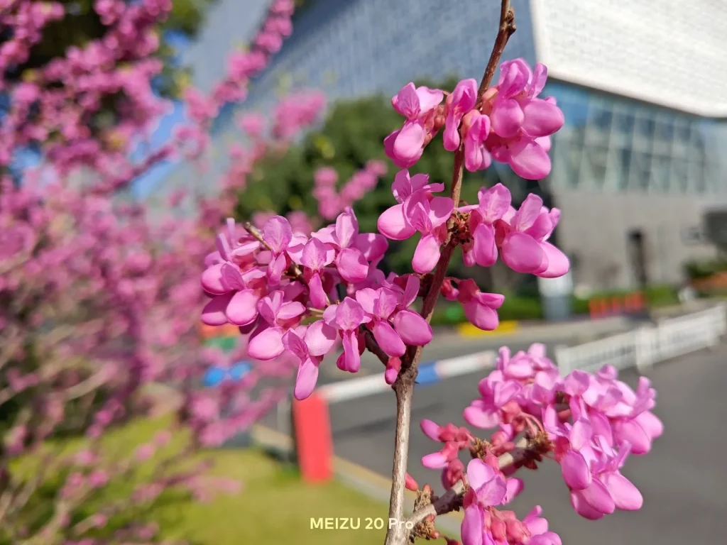 Meizu 20 Pro Camera Sample