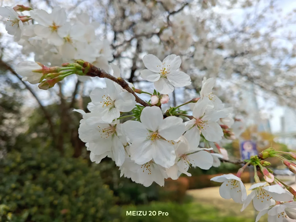 Meizu 20 Pro Camera Sample