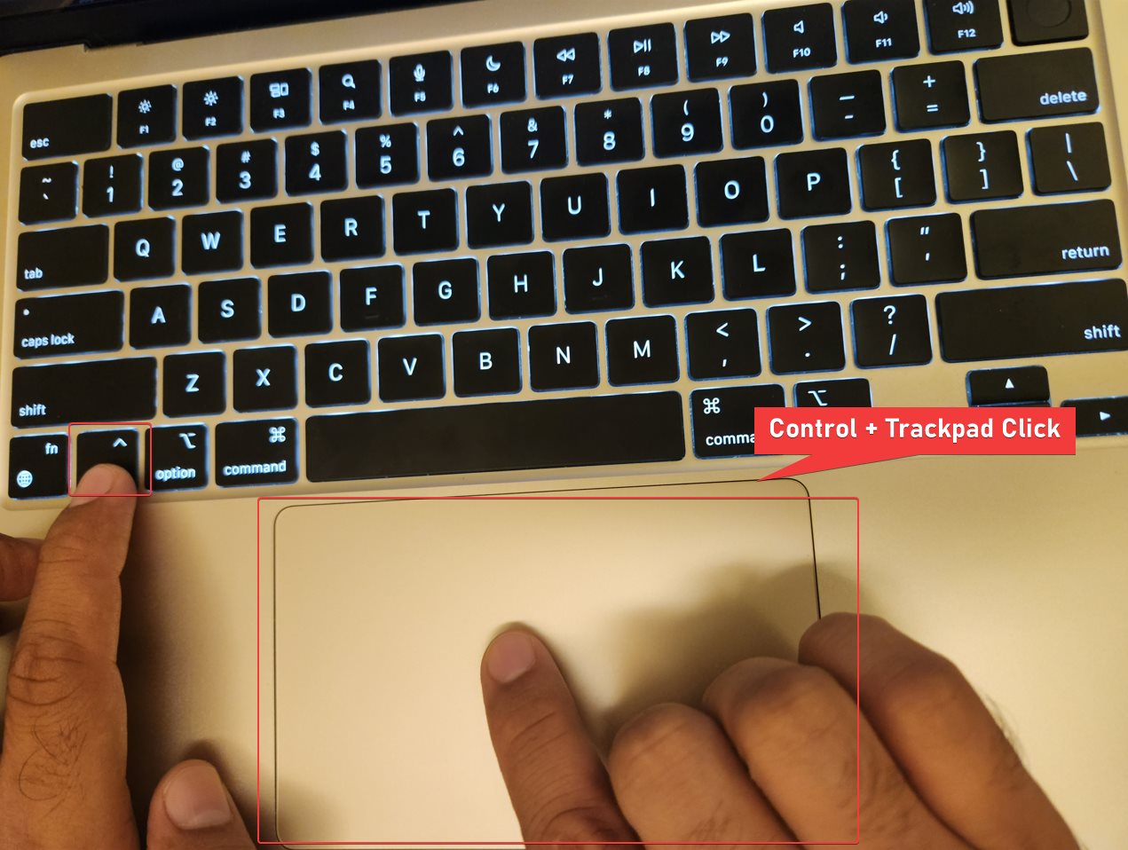 How to Copy and Paste on MacBook Gizmochina