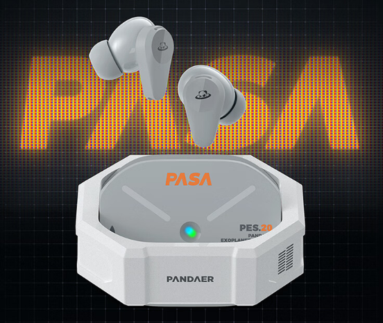 Meizu PANDAER PASA headphones