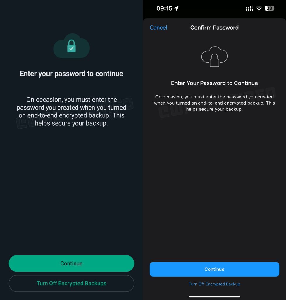 WhatsApp backup password