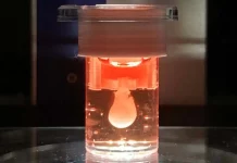 Scientists Achieve Breakthrough in 3D Printed Miniature Beating Heart Chamber 3D Printed Heart