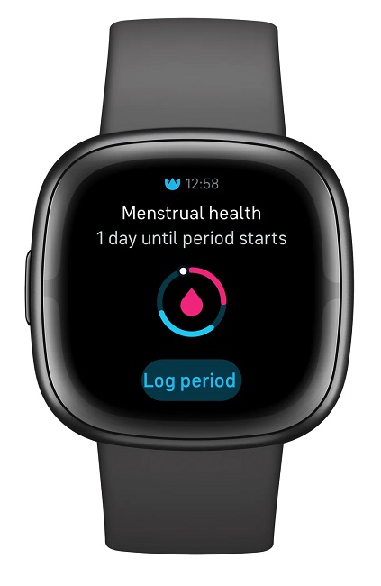 Fitbit Menstrual health tracking