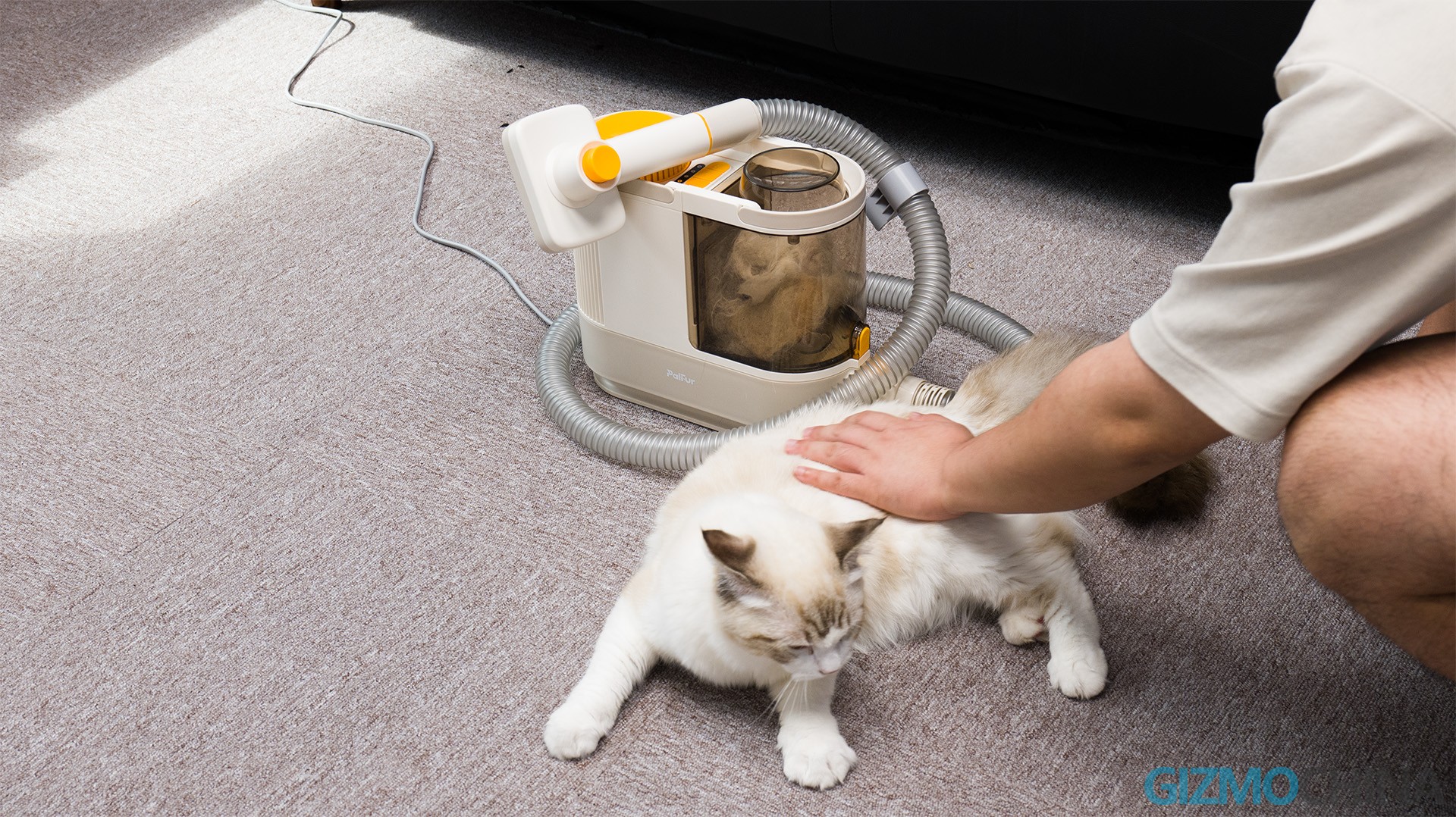 PalFur Pet Grooming Vacuum Kit Review The best dog grooming kits of