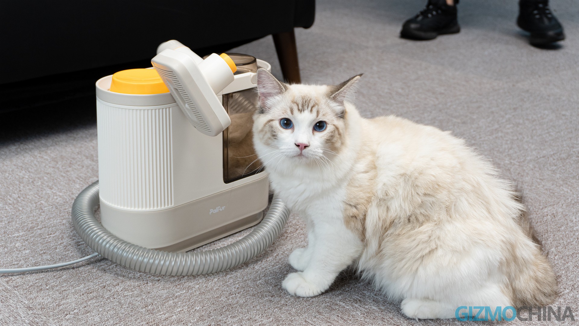 PalFur Pet Grooming Vacuum Kit Review The best dog grooming kits of