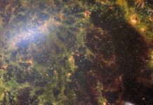 Unveiling NGC 5068, JWST’s Journey through Star Formation JWST