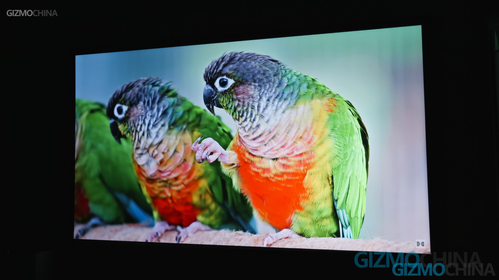 Dangbei Mars Projector Review: Best Projector Under $1,000