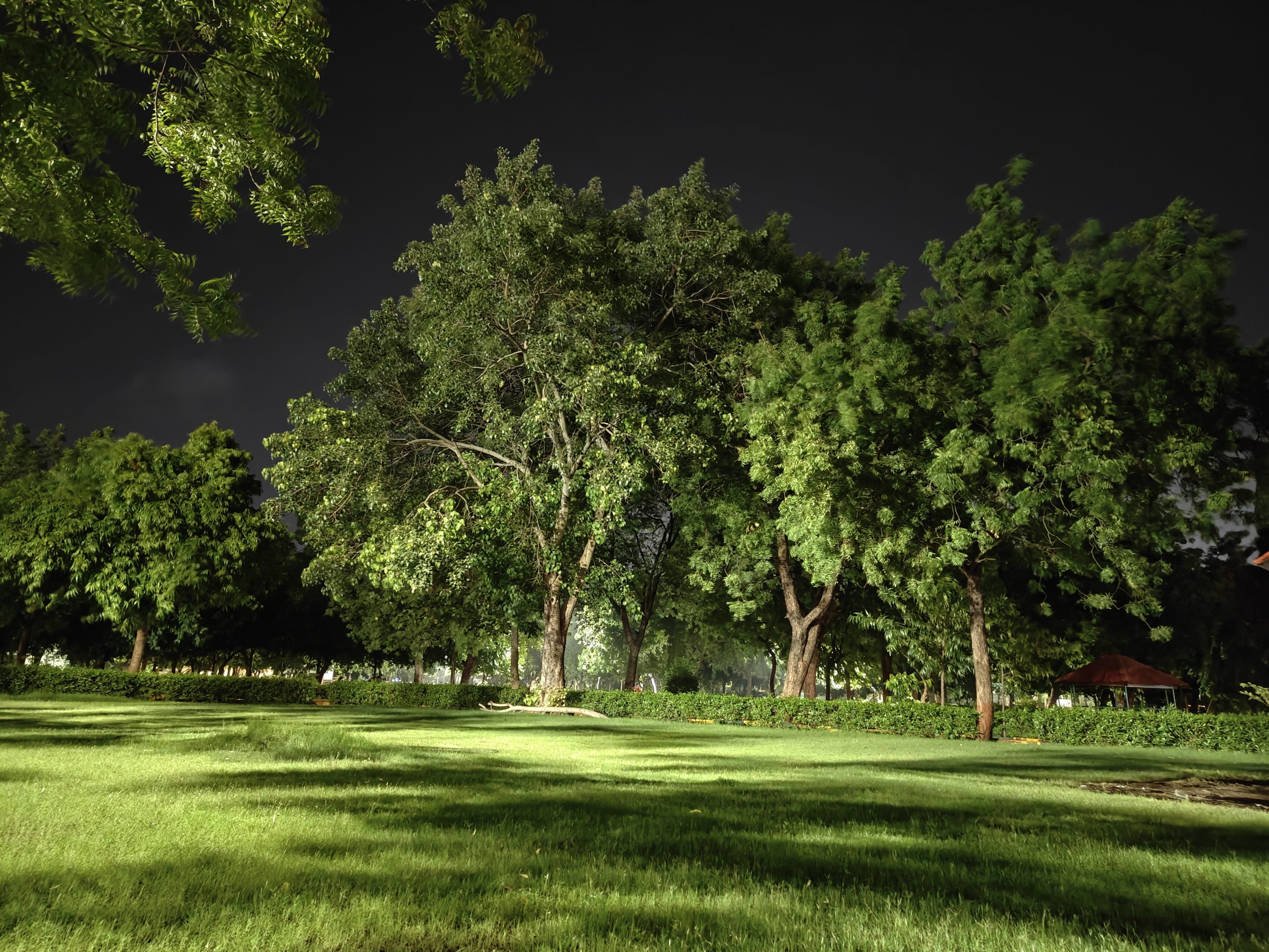Oppo Reno 10 Pro Plus Camera Sample