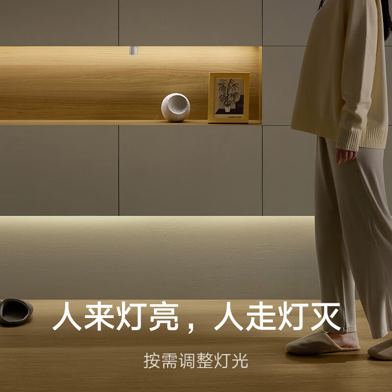 Xiaomi Body Sensor 2S