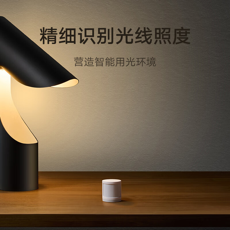 Xiaomi Body Sensor 2S