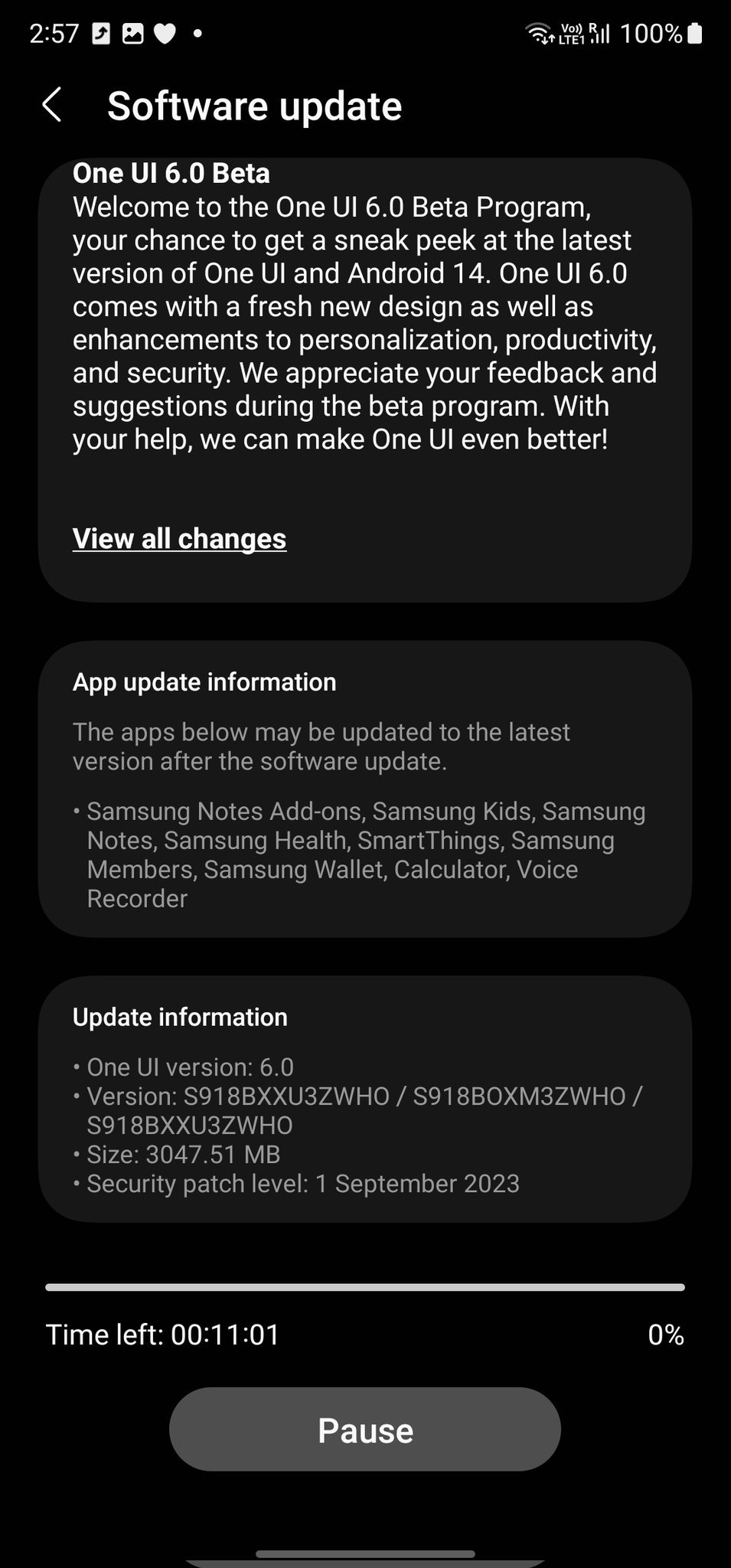 OneUI 6 update screen