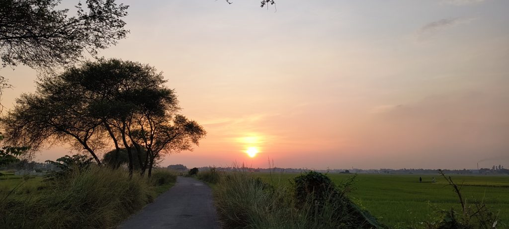 Motorola Edge 40 Neo Camera Sample