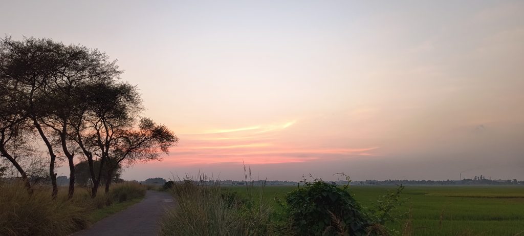 Motorola Edge 40 Neo Camera Sample