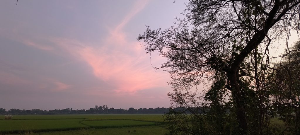 Motorola Edge 40 Neo Camera Sample