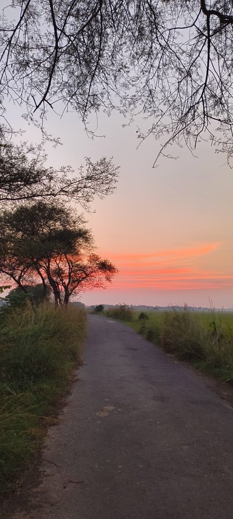 Motorola Edge 40 Neo Camera Sample