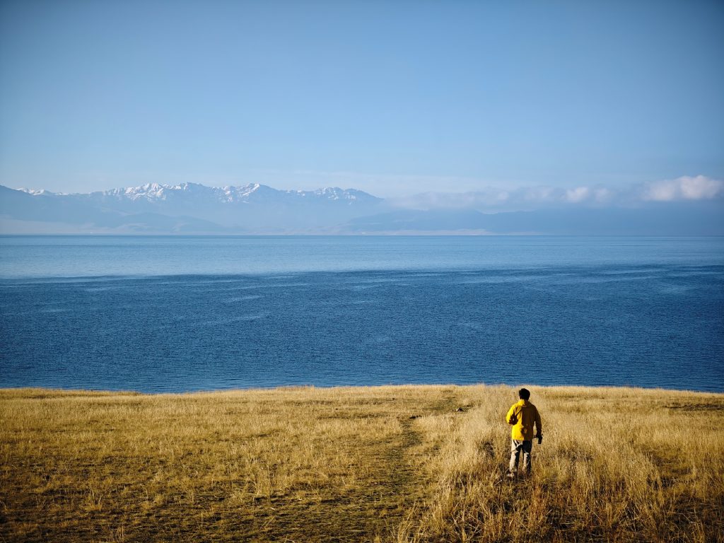 Alleged IQOO 12 camera sample