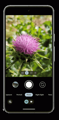 Google Pixel Fall feature drop is here with new camera interface ...