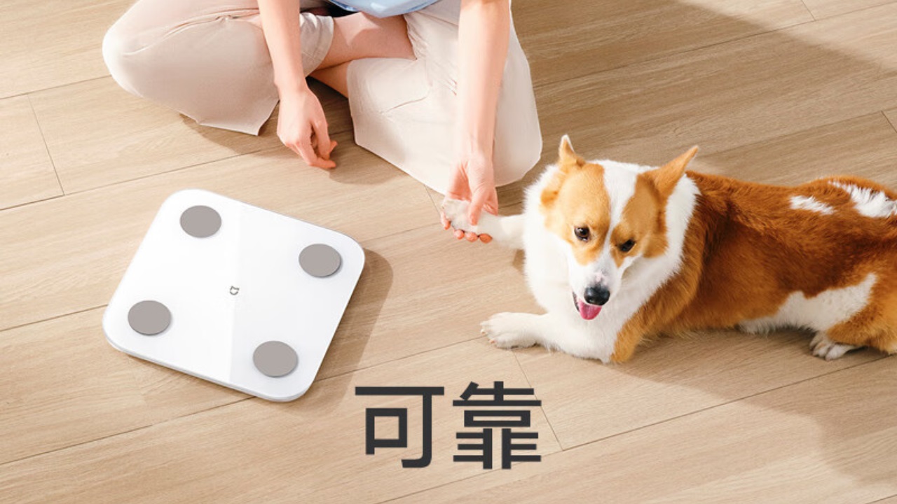 Xiaomi unveils Mijia Smart Body Fat Scale S400 at 99 yuan (14