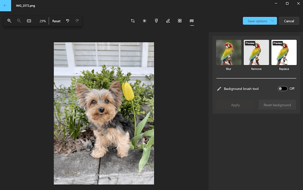 Microsoft actualiza la aplicación Fotos de Windows con Eliminación y reemplazo de fondo, con otras mejoras