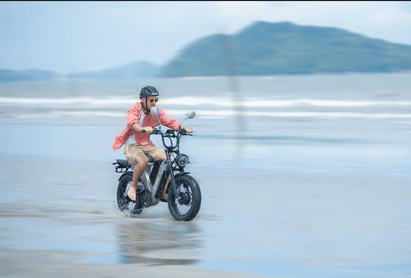Cyrusher Scout e-bike