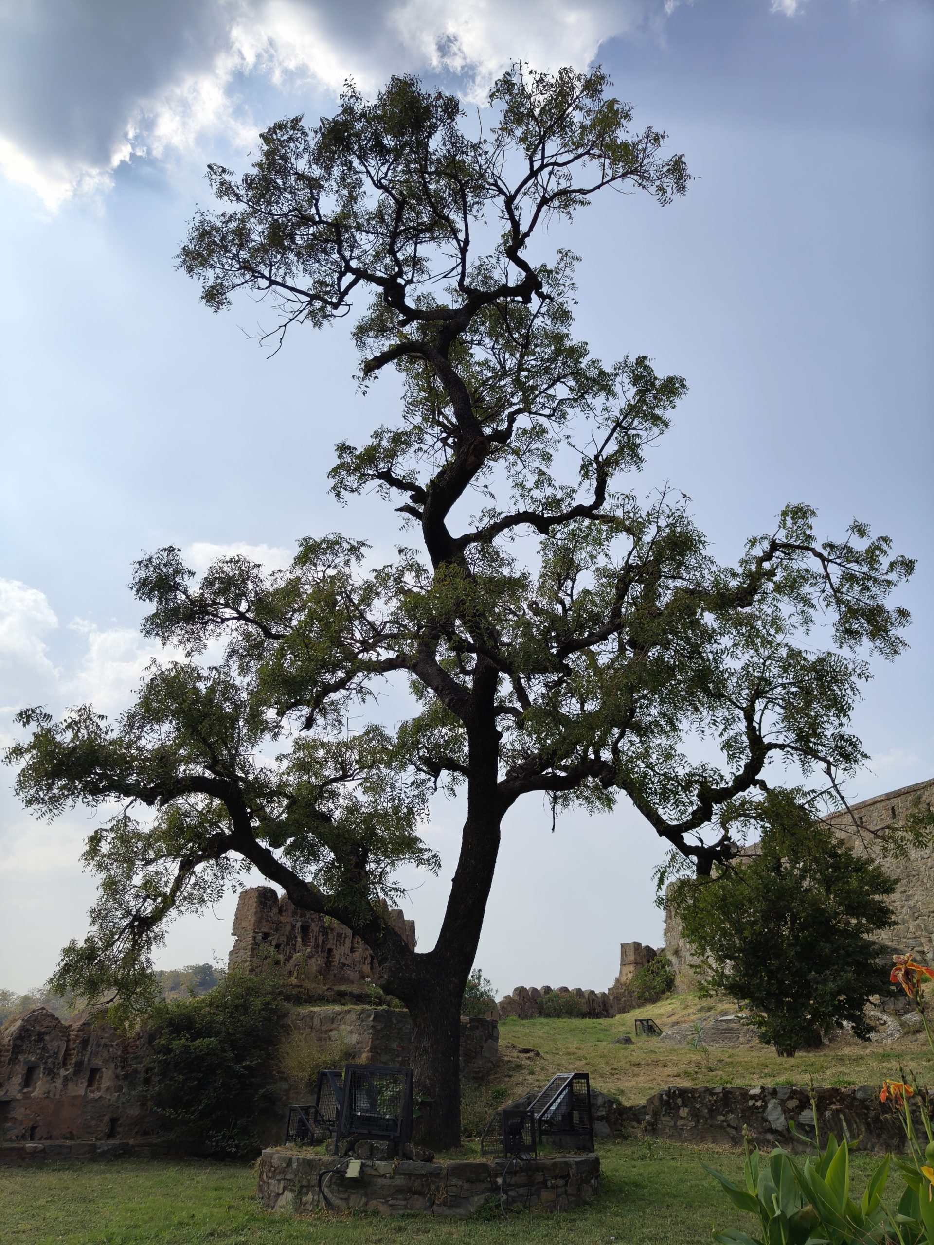 Oppo Find N3 Flip Review: Clamshell with Great Cameras - Gizmochina