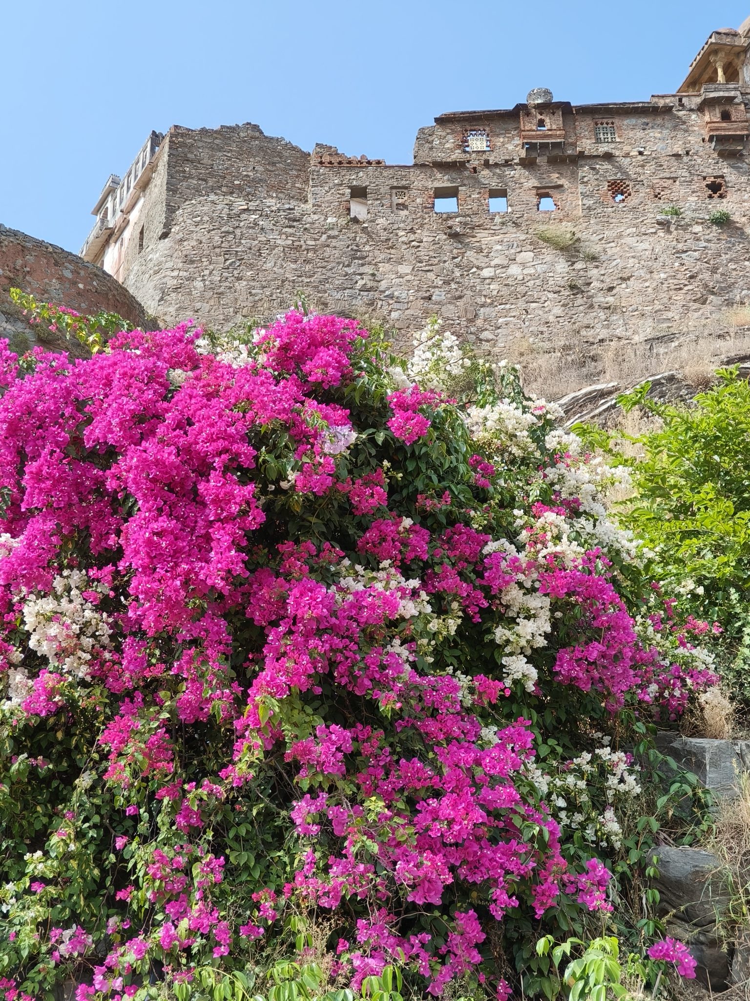 Oppo Find N3 Flip Review: Clamshell with Great Cameras - Gizmochina