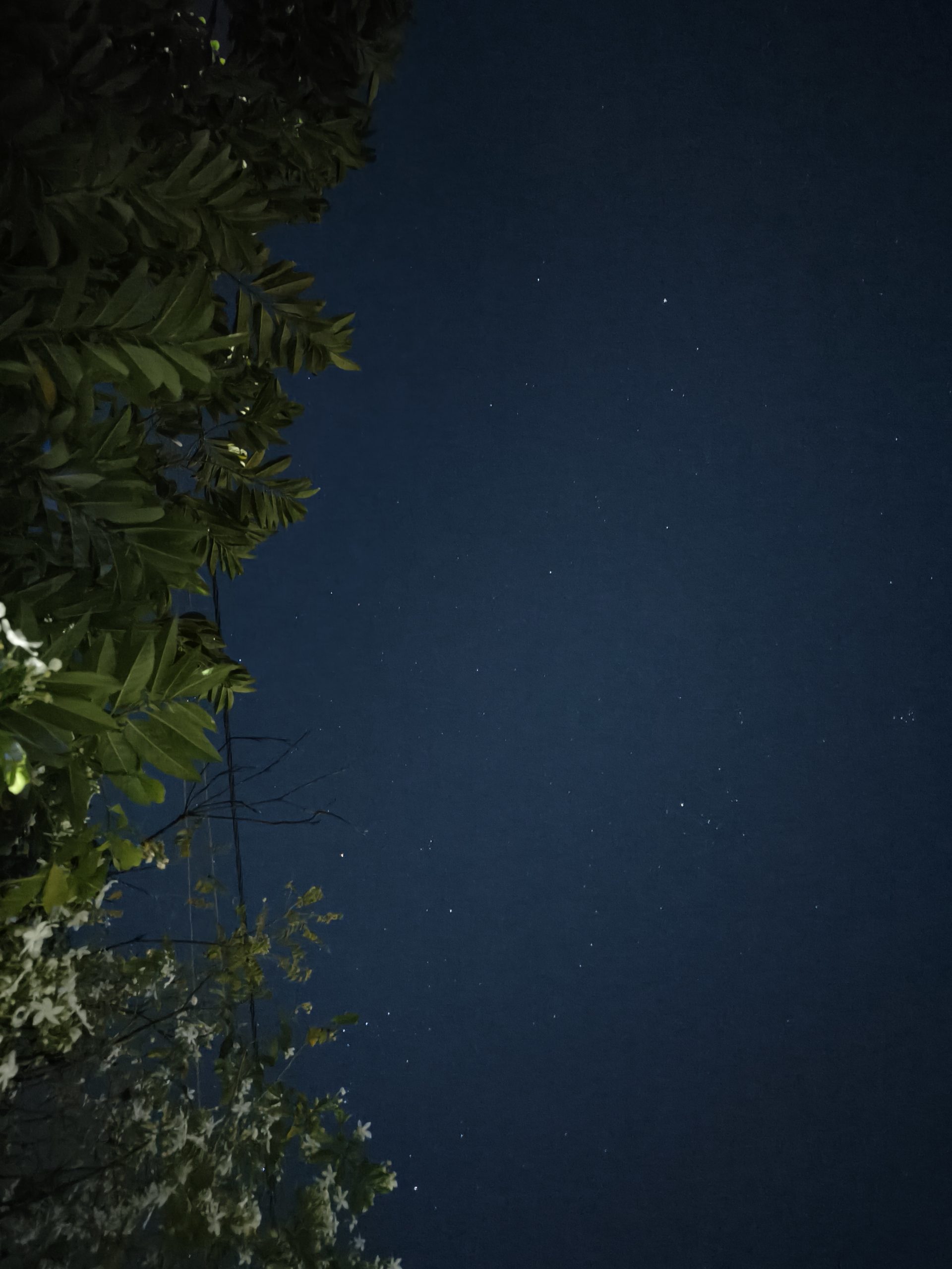 Oppo Find N3 Flip Camera Sample