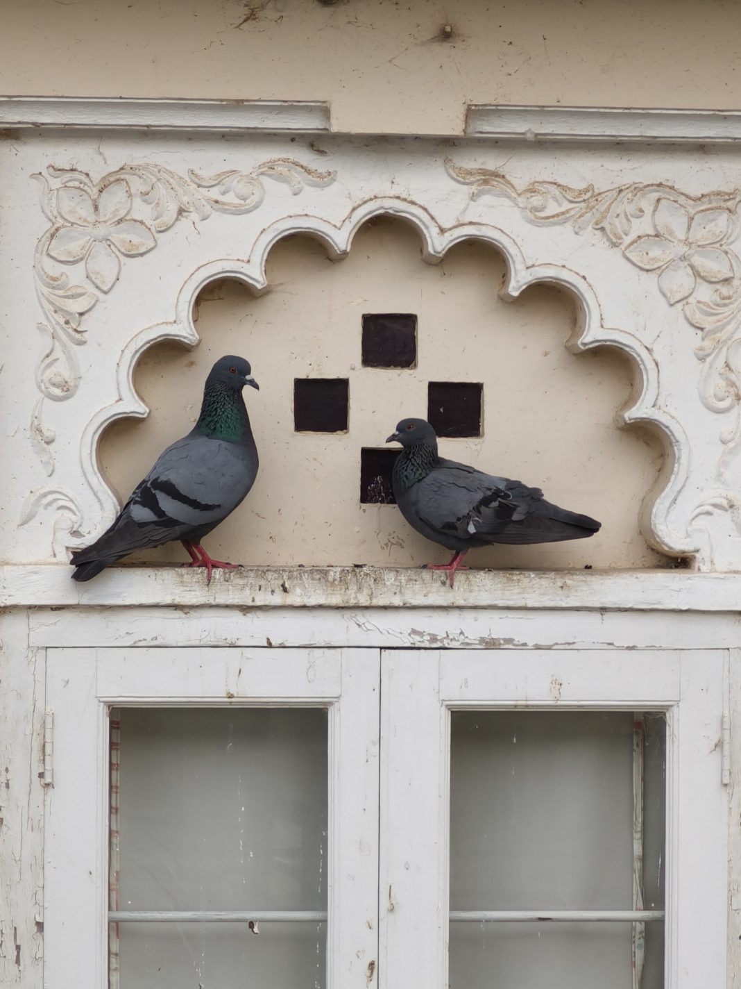 Oppo Find N3 Flip Review: Clamshell with Great Cameras - Gizmochina