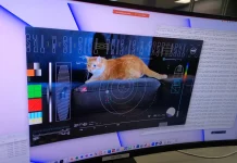 NASA Beams First Ultra-HD Cat Video from Space Using Advanced Laser Tech NASA Cat