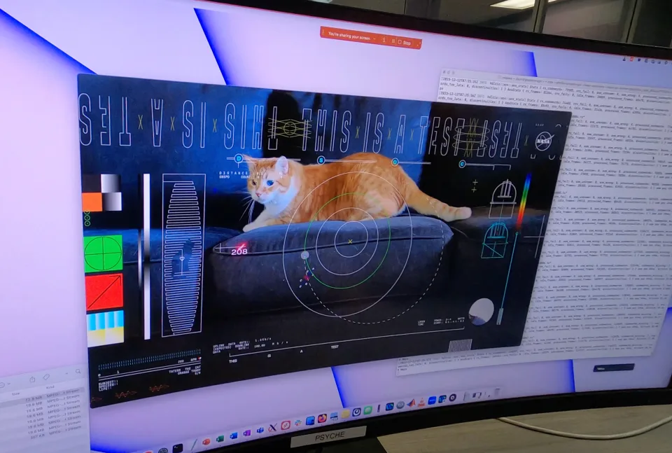 NASA Cat