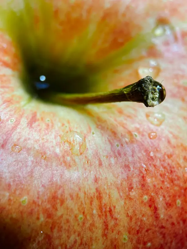 Moment 75mm Mobile Lens | T Series