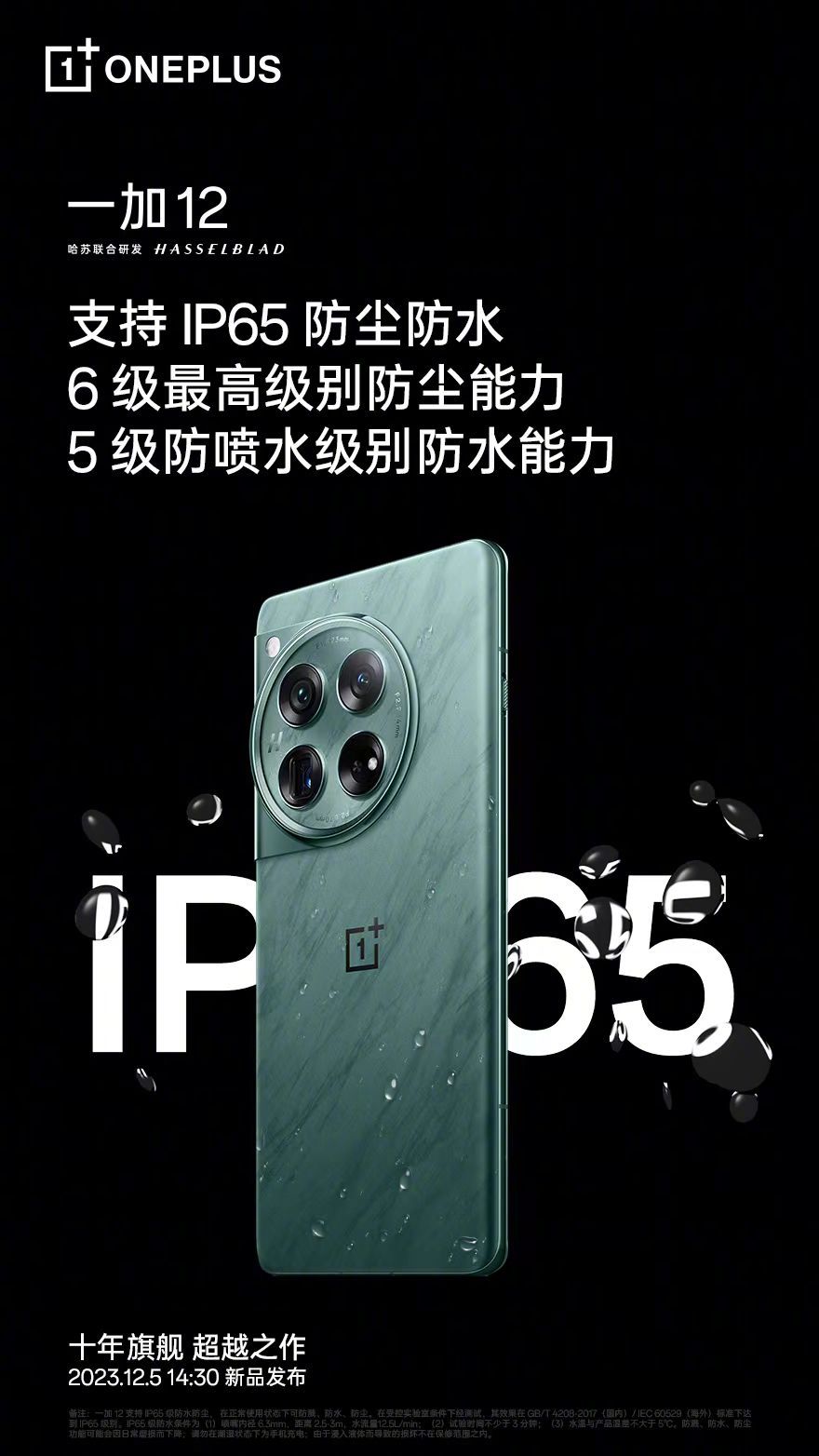 OnePlus 12 Ip65 rating