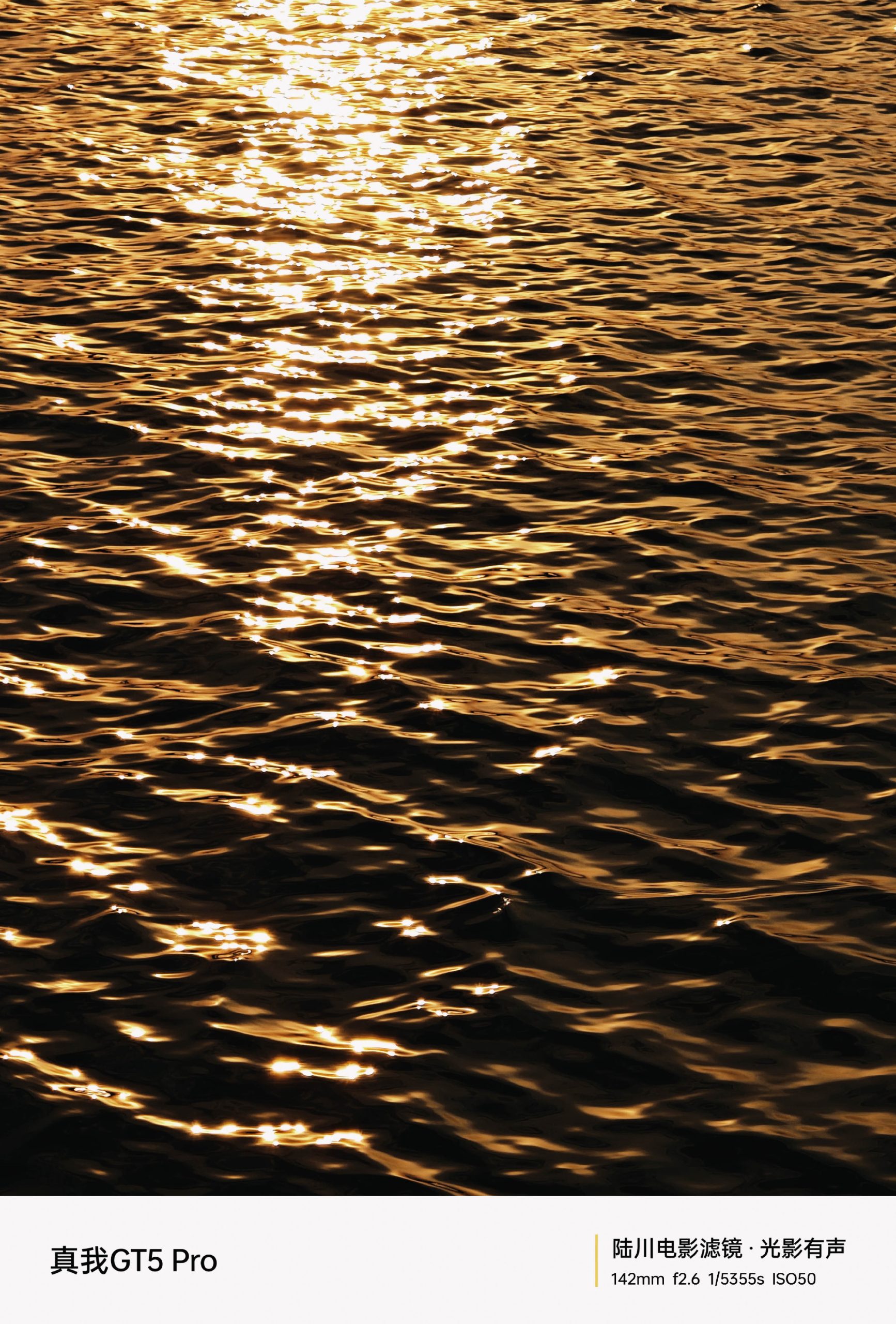 Realme GT 5 Pro telephoto sample shots