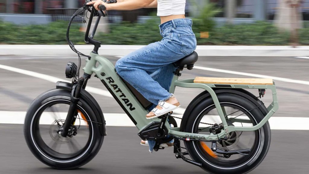 Rattan E-Bike