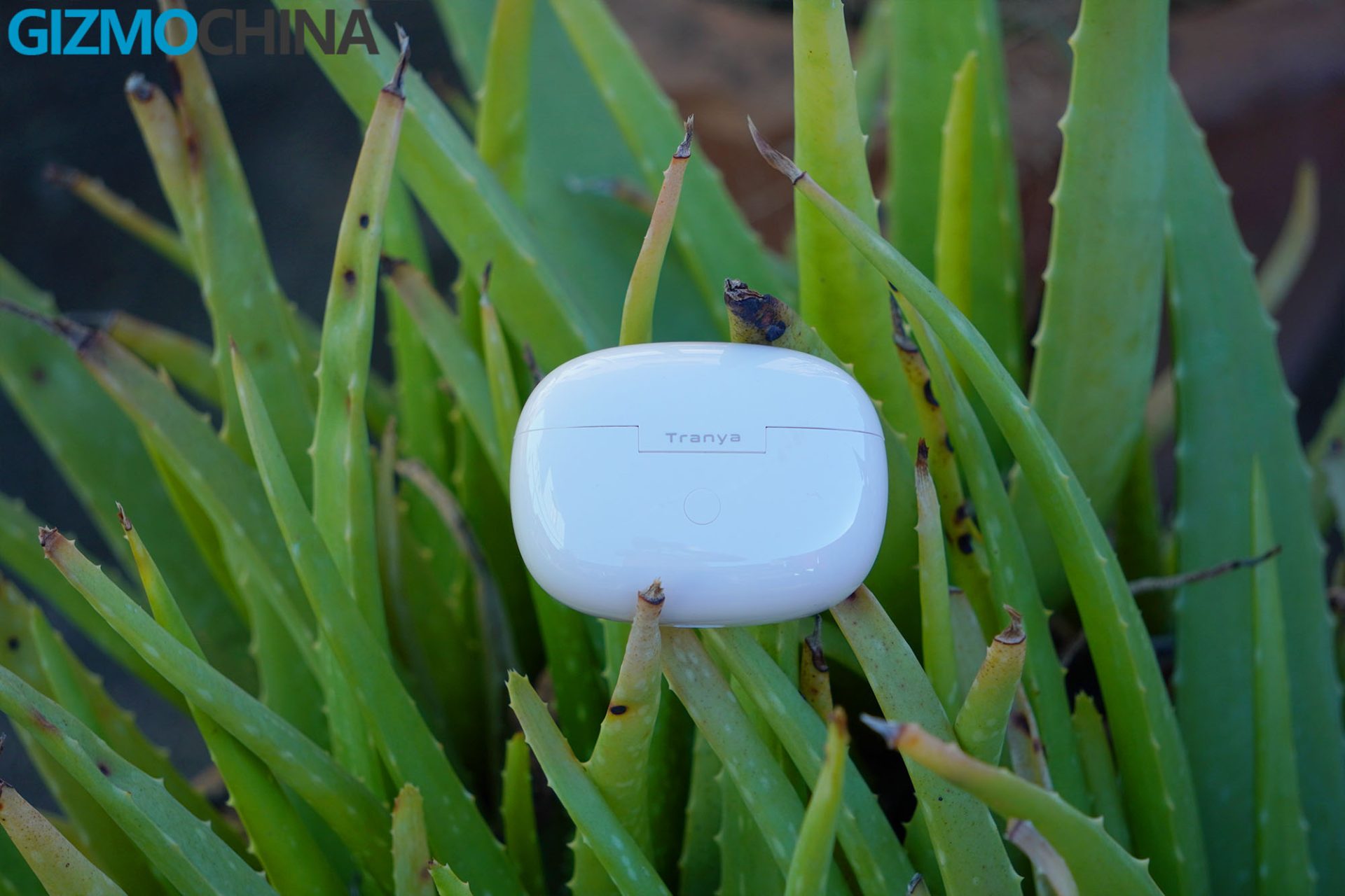 Tranya Nova Lite Review A Good Pair of TWS Earbuds in Budget Gizmochina