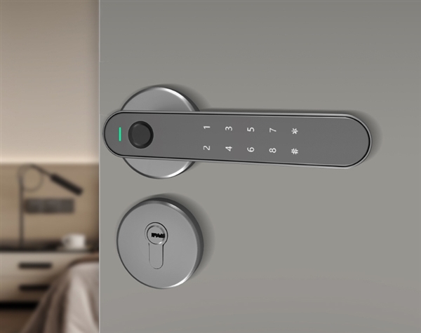 Arkfish Smart Room Door Lock S5 