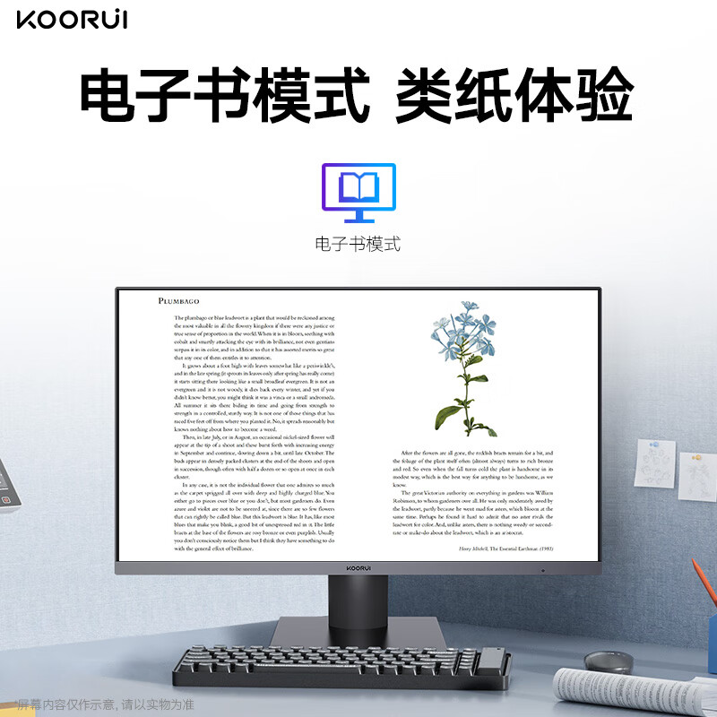 Koorui P5 Monitor
